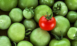 米線加盟行業深似海，如何在眾多米線品牌中脫穎而出？